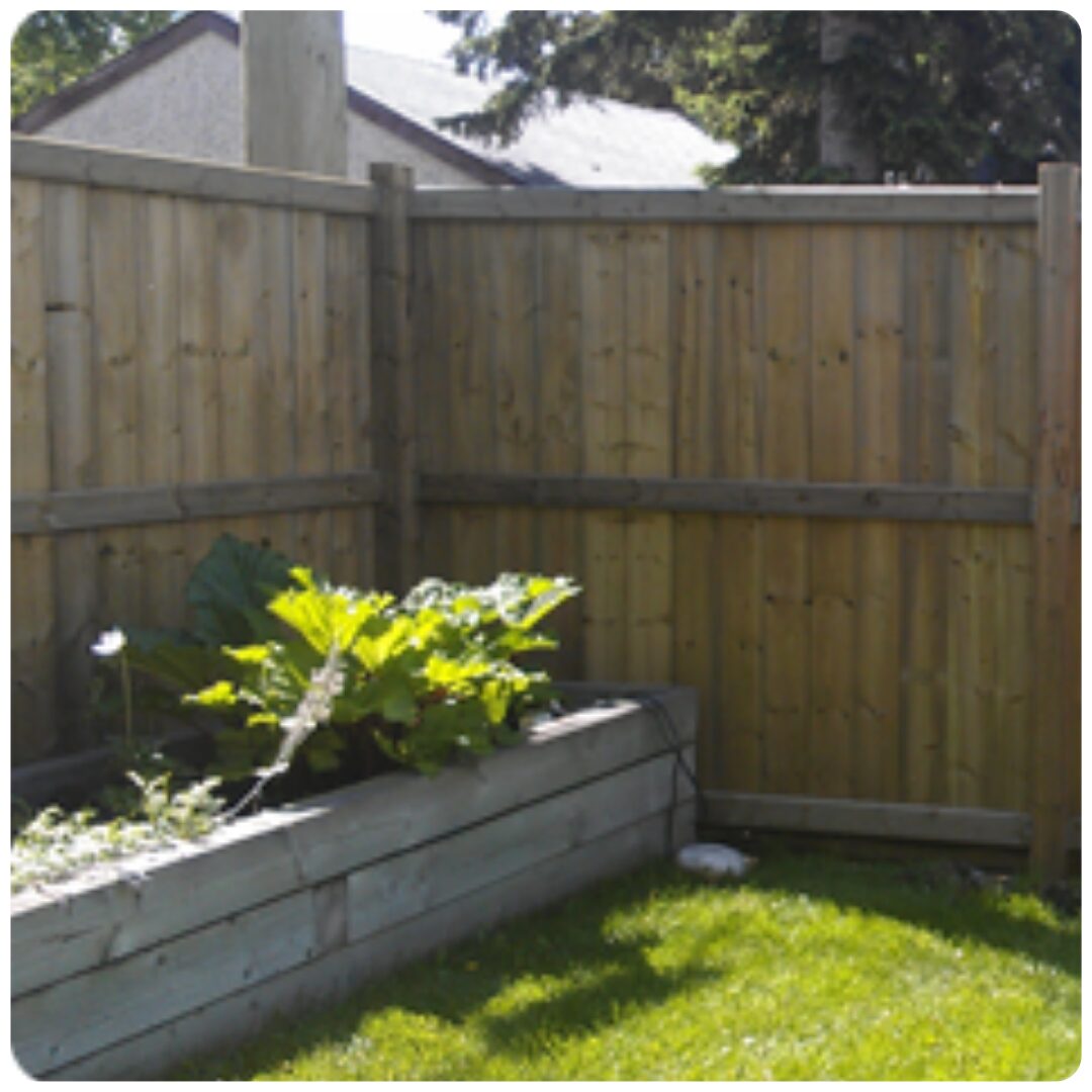 Wooden fence and garden bed in yard.